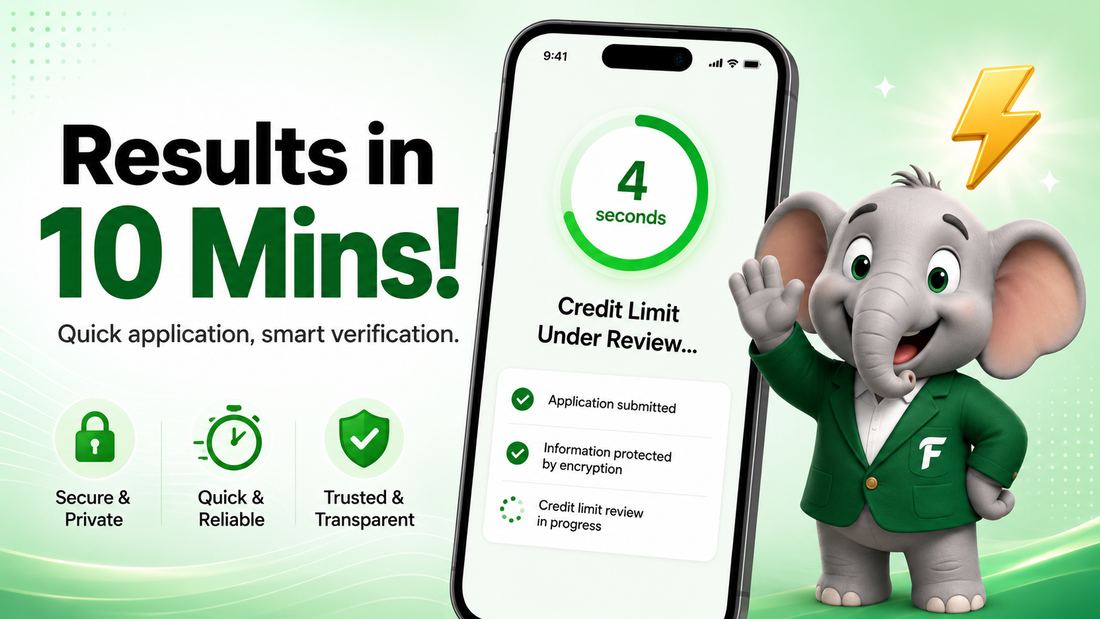 Personal loan and credit building partner